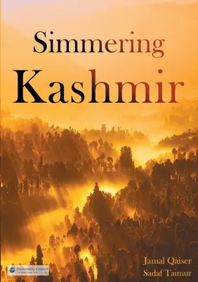 Varenie v Kašmíre - Simmering Kashmir