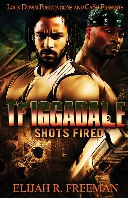 Triggadale: Schüsse abgefeuert - Triggadale: Shots Fired