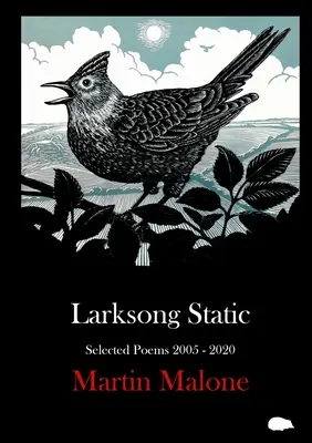 Larksong Static: Vybrané básne 2005-2020 - Larksong Static: Selected Poems 2005-2020