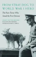 Z túlavého psa hrdinom prvej svetovej vojny: Parížsky teriér, ktorý sa pridal k prvej divízii - From Stray Dog to World War I Hero: The Paris Terrier Who Joined the First Division