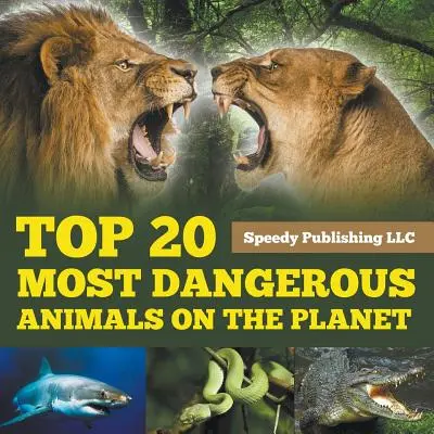 20 najnebezpečnejších zvierat na planéte - Top 20 Most Dangerous Animals On The Planet