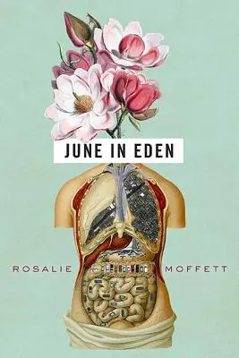 Jún v raji - June in Eden