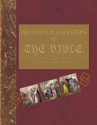 Predčitateľské ilustrácie k Biblii: Pochopenie Biblie prostredníctvom výukového denníka - Preceptive Illustrations of the Bible: Understanding the Bibles Through a Tutorial Journal