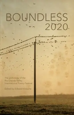Boundless 2020: oficiálna antológia Medzinárodného festivalu poézie v údolí Rio Grande - Boundless 2020: the official anthology of the Rio Grande Valley International Poetry Festival