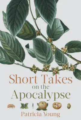 Krátke príspevky o apokalypse - Short Takes on the Apocalypse