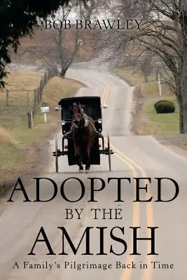Adoptovaní Amišmi: Púť rodiny späť v čase - Adopted by the Amish: A Family's Pilgrimage Back in Time
