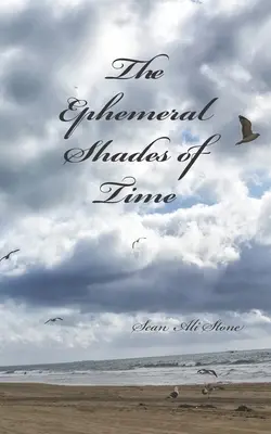 Prchavé odtiene času: reflexia v poézii - The Ephemeral Shades of Time: A Reflection in Poetry