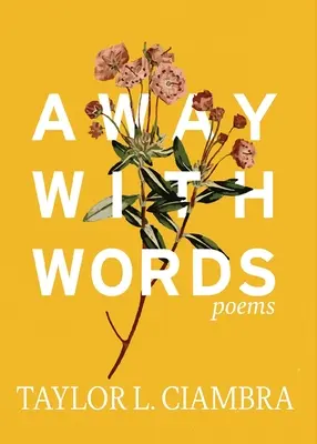 Pryč so slovami - Away With Words