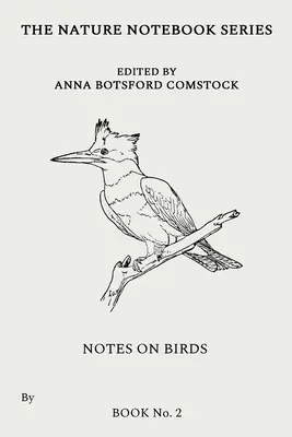 Poznámky o vtákoch 2 - Notes on Birds 2