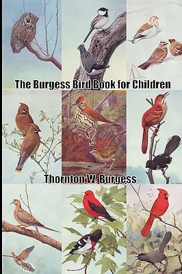 Burgessova kniha o vtákoch pre deti - The Burgess Bird Book for Children
