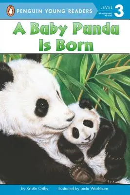 Narodilo sa mláďa pandy - A Baby Panda Is Born