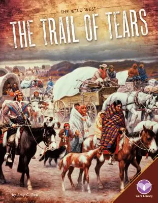 Stezka sĺz - Trail of Tears