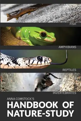 Príručka o štúdiu prírody vo farbe - Ryby, plazy, obojživelníky, bezstavovce - The Handbook Of Nature Study in Color - Fish, Reptiles, Amphibians, Invertebrates