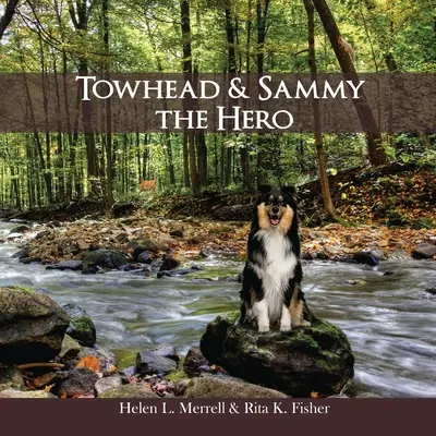 Towhead a Sammy Hrdina - Towhead and Sammy The Hero