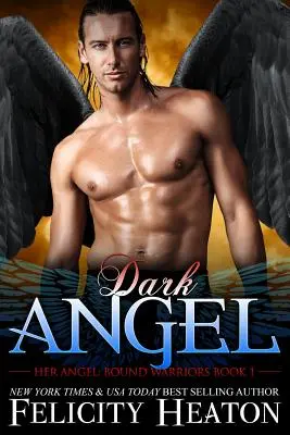 Temný anjel - Dark Angel