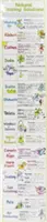 Tabuľka prírodných čistiacich prostriedkov - Natural Cleaning Solutions Chart