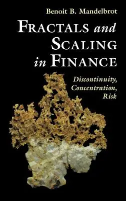 Fraktály a škálovanie vo financiách: Diskontinuita, koncentrácia, riziko. Selecta Volume E - Fractals and Scaling in Finance: Discontinuity, Concentration, Risk. Selecta Volume E