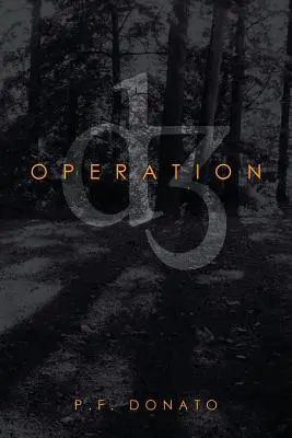 Operácia D3 - Operation D3