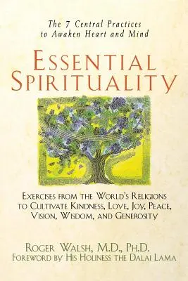 Základná spiritualita: 7 hlavných praktík na prebudenie srdca a mysle - Essential Spirituality: The 7 Central Practices to Awaken Heart and Mind