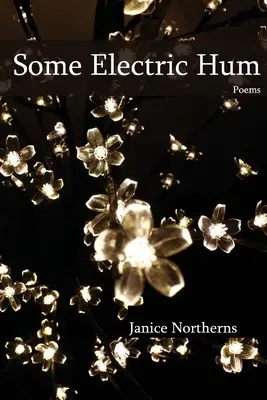 Niekoľko elektrických šumov - Some Electric Hum