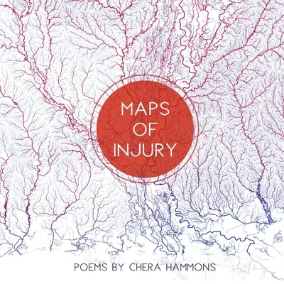 Mapy zranení - Maps of Injury