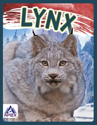 Rysi - Lynx