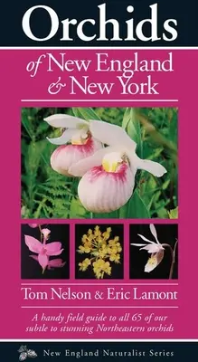 Orchidey Nového Anglicka a New Yorku - Orchids of New England & New York