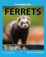 Moje obľúbené zvieratko: Fretky - My Favorite Pet: Ferrets