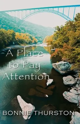 Miesto, ktorému treba venovať pozornosť - A Place to Pay Attention