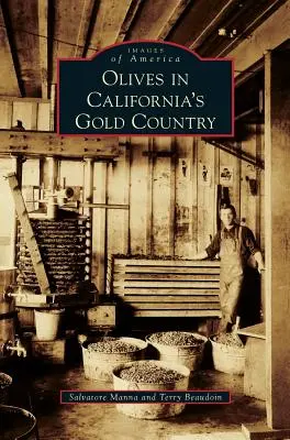 Olivy v kalifornskej Zlatej krajine - Olives in California's Gold Country