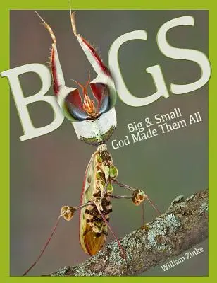 Veľké a malé chrobáky: Boh ich stvoril všetky - Bugs Big & Small: God Made Them All