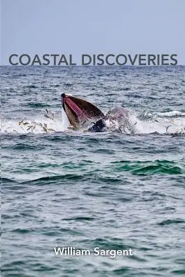 Na sever od Bostonu - veľryby a príbehy - North of Boston- Whales and Tales