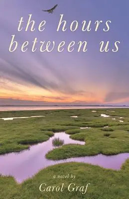 Hodiny medzi nami - The Hours Between Us