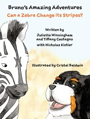 Môže zebra meniť svoje pruhy? - Can a Zebra Change its Stripes?