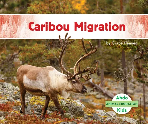 Migrácia karibu - Caribou Migration
