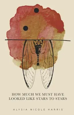 Ako veľmi sme sa museli podobať hviezdam: Víťazka série Nové hlasy žien 2015 - How Much We Must Have Looked Like Stars To Stars: Winner of the 2015 New Women's Voices Series