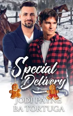 Špeciálna zásielka: A Wrecked Holiday Novel (Zničená dovolenka) - Special Delivery: A Wrecked Holiday Novel