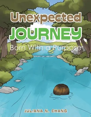Nečakaná cesta: Zrodený s cieľom - Unexpected Journey: Born with a Purpose