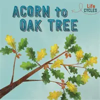 Životné cykly: Od žaluďa po dub - Life Cycles: Acorn to Oak Tree