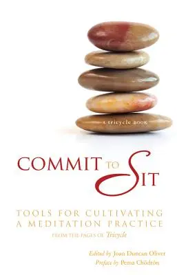 Commit to Sit (Záväzok sedieť): Nástroje na pestovanie meditačnej praxe - Commit to Sit: Tools for Cultivating a Meditation Practice