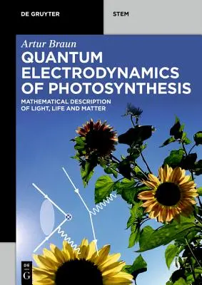Kvantová elektrodynamika fotosyntézy - Quantum Electrodynamics of Photosynthesis