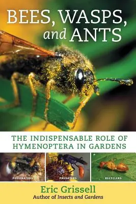 Včely, osy a mravce: Nezastupiteľná úloha blanokrídlovcov v záhradách - Bees, Wasps, and Ants: The Indispensable Role of Hymenoptera in Gardens