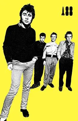 Bol som tínedžer Sex Pistol - I Was a Teenage Sex Pistol