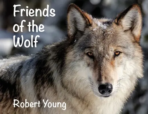 Priatelia vlka - Friends of the Wolf