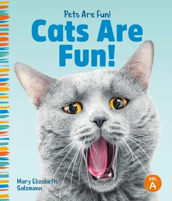 Mačky sú zábavné! - Cats Are Fun!