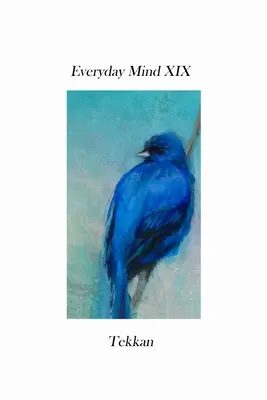 Každodenná myseľ XIX - Everyday Mind XIX