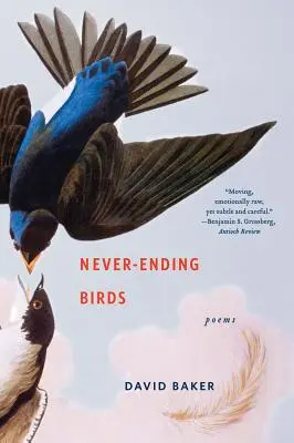 Never-Ending Birds: Básne - Never-Ending Birds: Poems