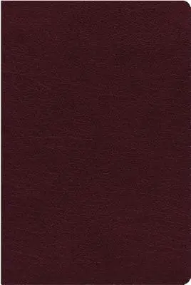 NIV, Biblia na štúdium biblickej teológie, lepená koža, bordová farba, indexovaná, pohodlná tlač: Sledujte Boží plán vykúpenia, ako sa odvíja v celom Písme - NIV, Biblical Theology Study Bible, Bonded Leather, Burgundy, Indexed, Comfort Print: Follow God's Redemptive Plan as It Unfolds Throughout Scripture