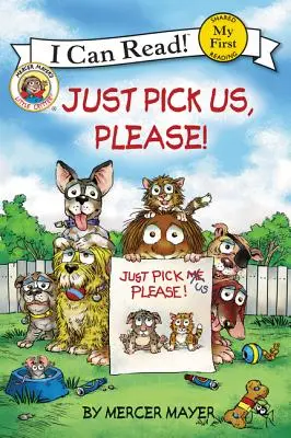 Vyberte si nás, prosím! - Just Pick Us, Please!