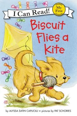 Piškót púšťa draka - Biscuit Flies a Kite